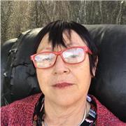 Profesor de Historia on line